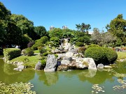 545  Japanese Garden.jpg